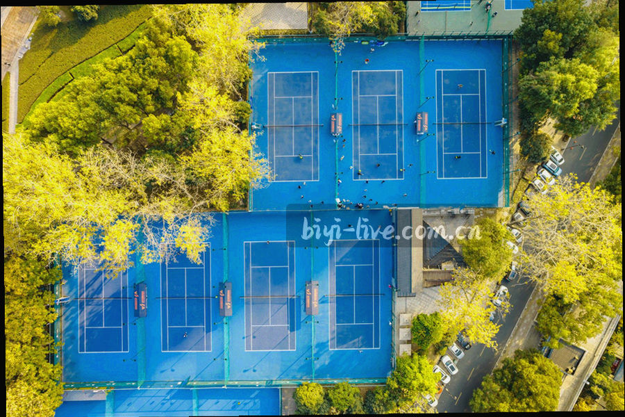 积分榜式抽象信息图，横向条形与刻度构成，无具体文字